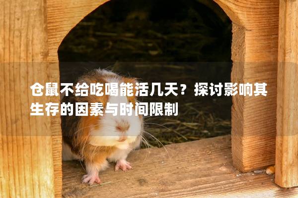 仓鼠不给吃喝能活几天？探讨影响其生存的因素与时间限制
