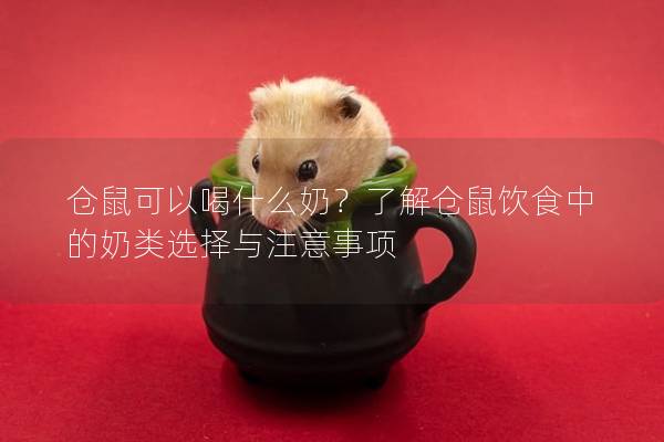 仓鼠可以喝什么奶？了解仓鼠饮食中的奶类选择与注意事项