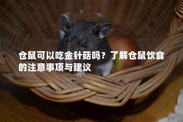 仓鼠可以吃金针菇吗？了解仓鼠饮食的注意事项与建议