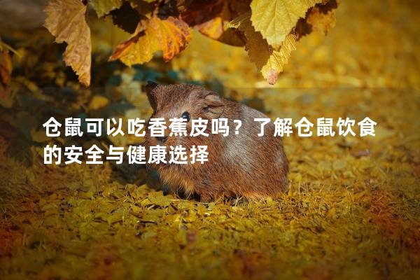 仓鼠可以吃香蕉皮吗？了解仓鼠饮食的安全与健康选择
