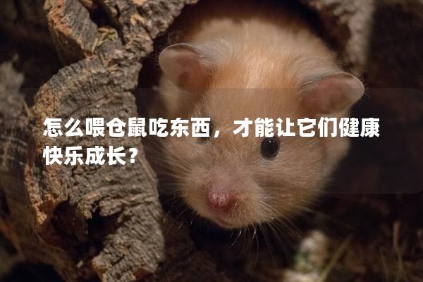 怎么喂仓鼠吃东西，才能让它们健康快乐成长？
