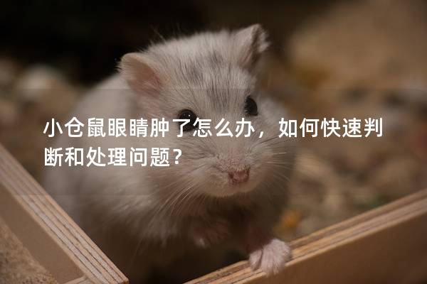 小仓鼠眼睛肿了怎么办，如何快速判断和处理问题？