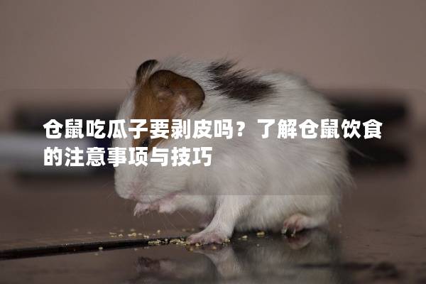 仓鼠吃瓜子要剥皮吗？了解仓鼠饮食的注意事项与技巧