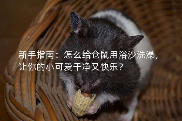 新手指南：怎么给仓鼠用浴沙洗澡，让你的小可爱干净又快乐？