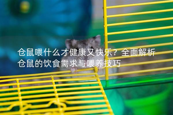 仓鼠喂什么才健康又快乐？全面解析仓鼠的饮食需求与喂养技巧