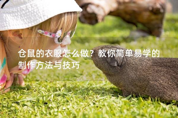 仓鼠的衣服怎么做？教你简单易学的制作方法与技巧