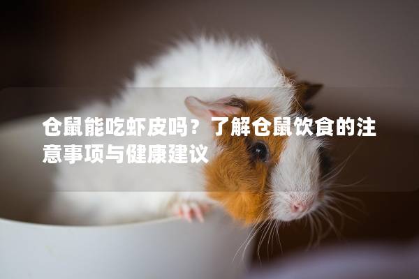 仓鼠能吃虾皮吗？了解仓鼠饮食的注意事项与健康建议
