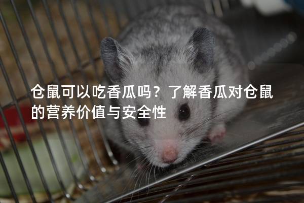 仓鼠可以吃香瓜吗？了解香瓜对仓鼠的营养价值与安全性