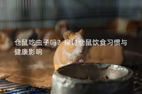 仓鼠吃虫子吗？探讨仓鼠饮食习惯与健康影响