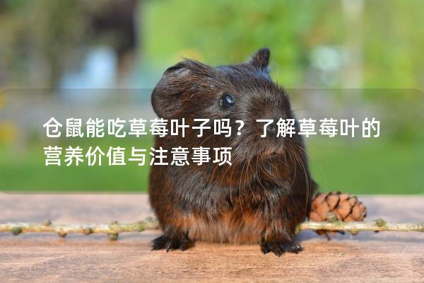 仓鼠能吃草莓叶子吗？了解草莓叶的营养价值与注意事项