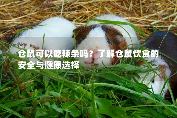 仓鼠可以吃辣条吗？了解仓鼠饮食的安全与健康选择