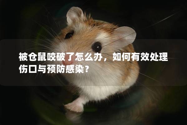 被仓鼠咬破了怎么办，如何有效处理伤口与预防感染？