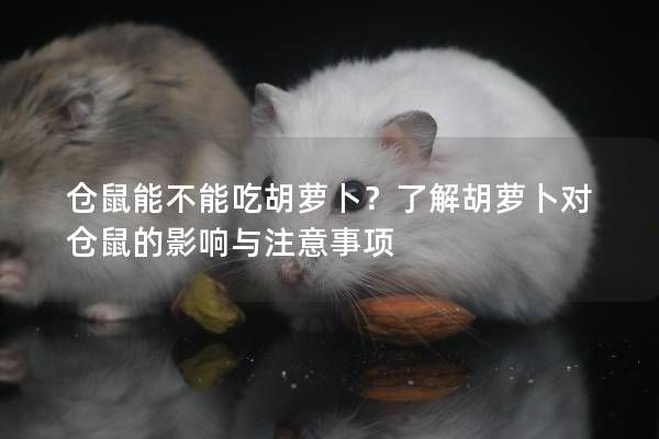 仓鼠能不能吃胡萝卜？了解胡萝卜对仓鼠的影响与注意事项