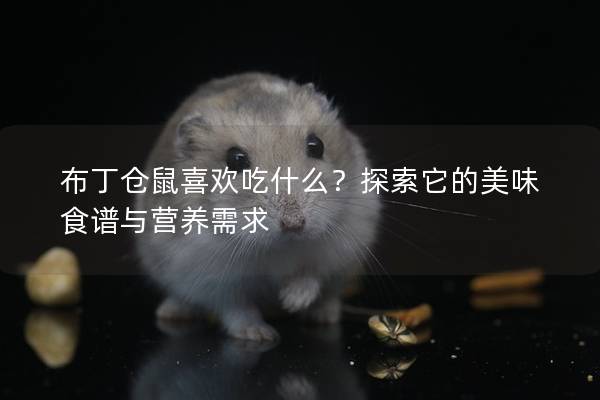 布丁仓鼠喜欢吃什么？探索它的美味食谱与营养需求