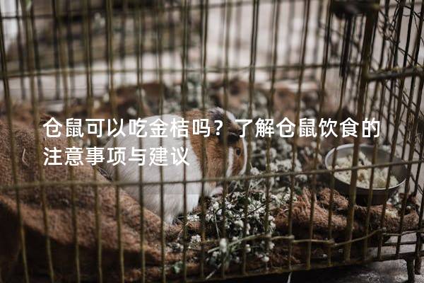 仓鼠可以吃金桔吗？了解仓鼠饮食的注意事项与建议