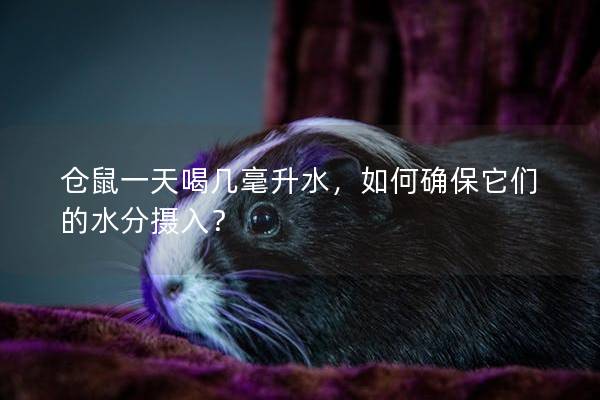 仓鼠一天喝几毫升水，如何确保它们的水分摄入？