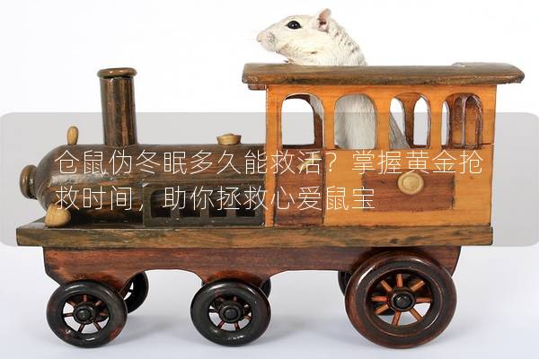 仓鼠伪冬眠多久能救活？掌握黄金抢救时间，助你拯救心爱鼠宝