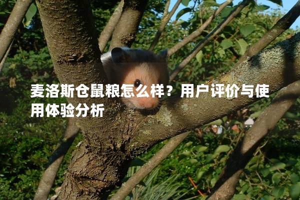 麦洛斯仓鼠粮怎么样？用户评价与使用体验分析
