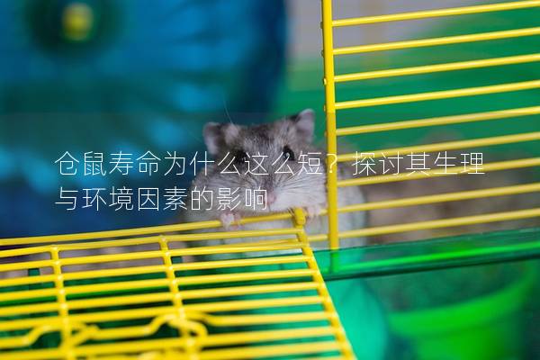 仓鼠寿命为什么这么短？探讨其生理与环境因素的影响