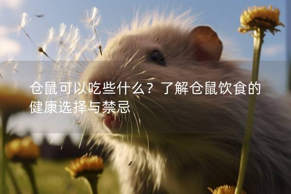 仓鼠可以吃些什么？了解仓鼠饮食的健康选择与禁忌