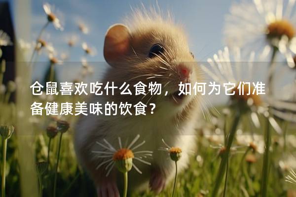 仓鼠喜欢吃什么食物，如何为它们准备健康美味的饮食？