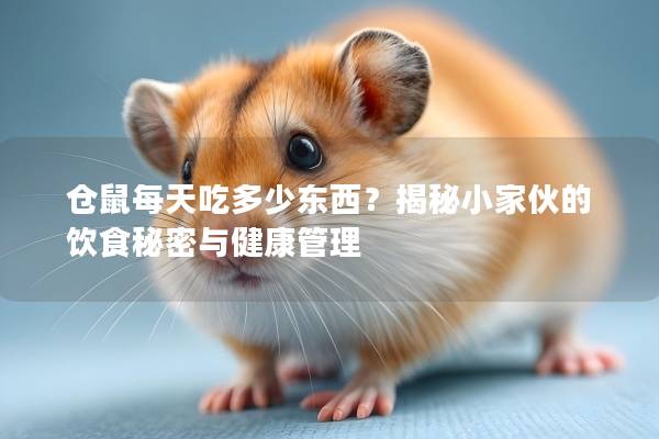 仓鼠每天吃多少东西？揭秘小家伙的饮食秘密与健康管理