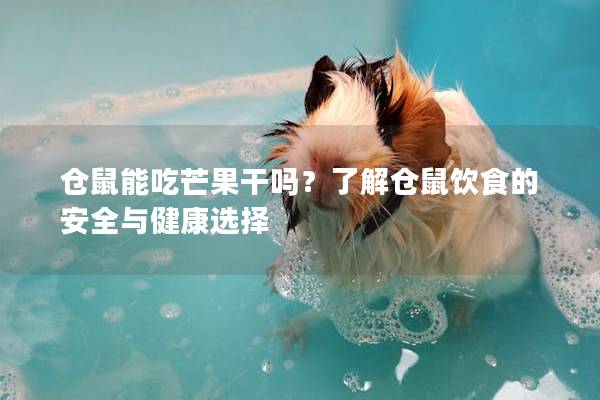 仓鼠能吃芒果干吗？了解仓鼠饮食的安全与健康选择