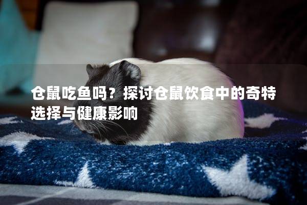 仓鼠吃鱼吗？探讨仓鼠饮食中的奇特选择与健康影响