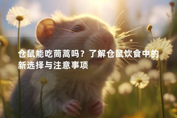 仓鼠能吃茼蒿吗？了解仓鼠饮食中的新选择与注意事项