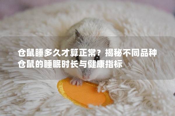 仓鼠睡多久才算正常？揭秘不同品种仓鼠的睡眠时长与健康指标