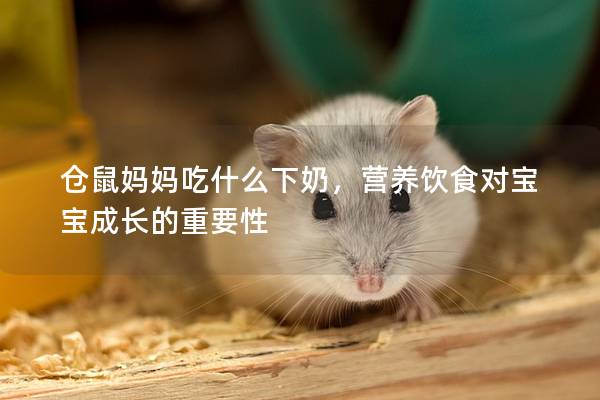 仓鼠妈妈吃什么下奶，营养饮食对宝宝成长的重要性