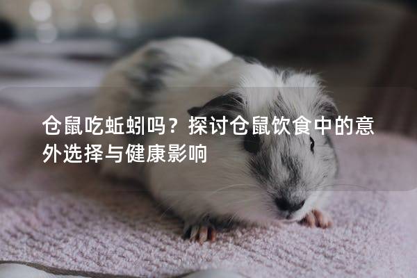 仓鼠吃蚯蚓吗？探讨仓鼠饮食中的意外选择与健康影响