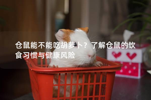 仓鼠能不能吃胡萝卜？了解仓鼠的饮食习惯与健康风险