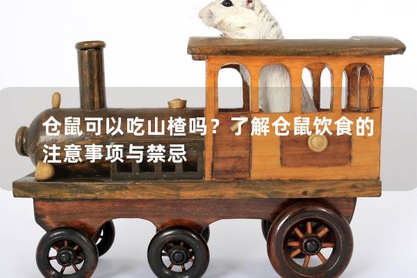 仓鼠可以吃山楂吗？了解仓鼠饮食的注意事项与禁忌