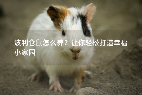 波利仓鼠怎么养？让你轻松打造幸福小家园