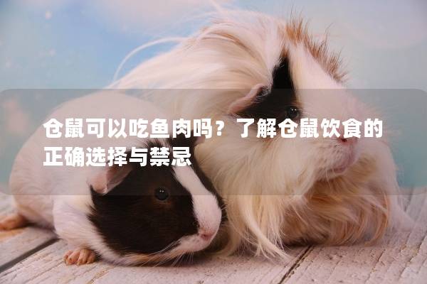 仓鼠可以吃鱼肉吗？了解仓鼠饮食的正确选择与禁忌