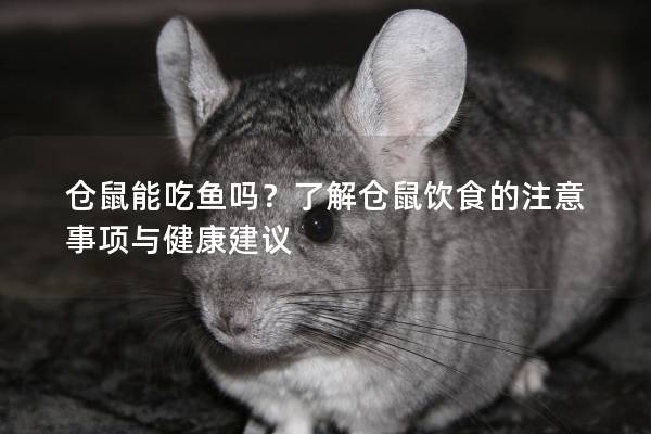 仓鼠能吃鱼吗？了解仓鼠饮食的注意事项与健康建议