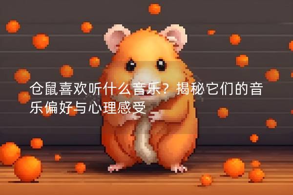 仓鼠喜欢听什么音乐？揭秘它们的音乐偏好与心理感受