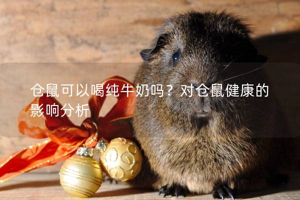仓鼠可以喝纯牛奶吗？对仓鼠健康的影响分析