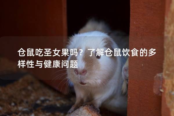 仓鼠吃圣女果吗？了解仓鼠饮食的多样性与健康问题