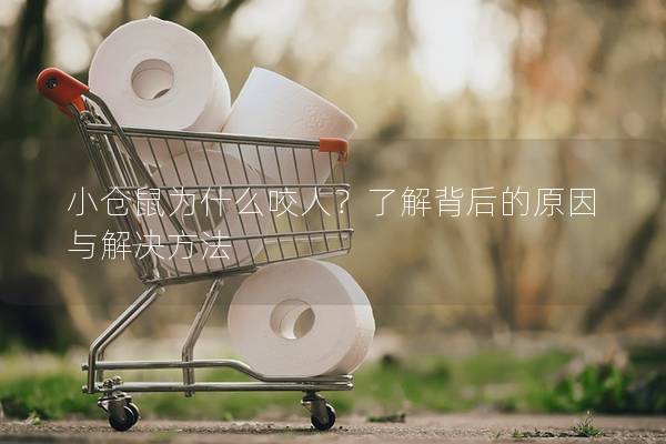 小仓鼠为什么咬人？了解背后的原因与解决方法