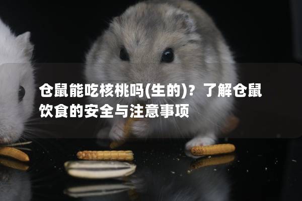 仓鼠能吃核桃吗(生的)？了解仓鼠饮食的安全与注意事项