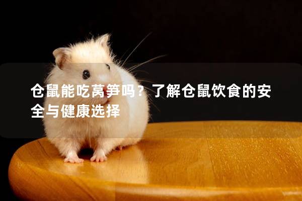 仓鼠能吃莴笋吗？了解仓鼠饮食的安全与健康选择