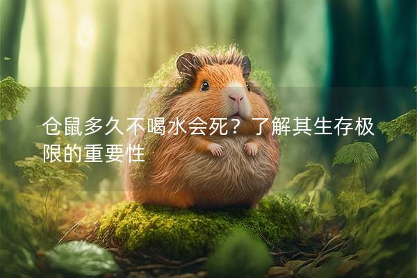仓鼠多久不喝水会死？了解其生存极限的重要性
