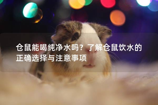 仓鼠能喝纯净水吗？了解仓鼠饮水的正确选择与注意事项