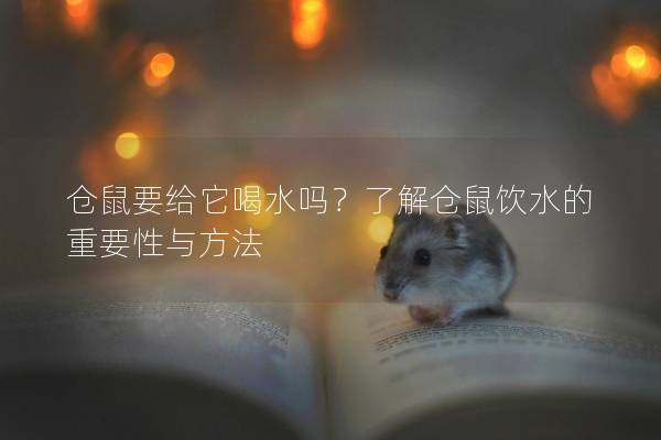 仓鼠要给它喝水吗？了解仓鼠饮水的重要性与方法