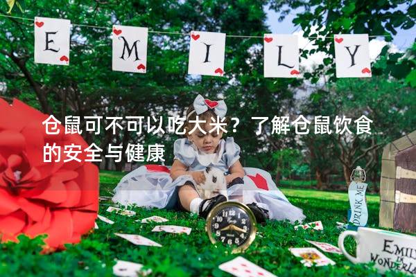 仓鼠可不可以吃大米？了解仓鼠饮食的安全与健康