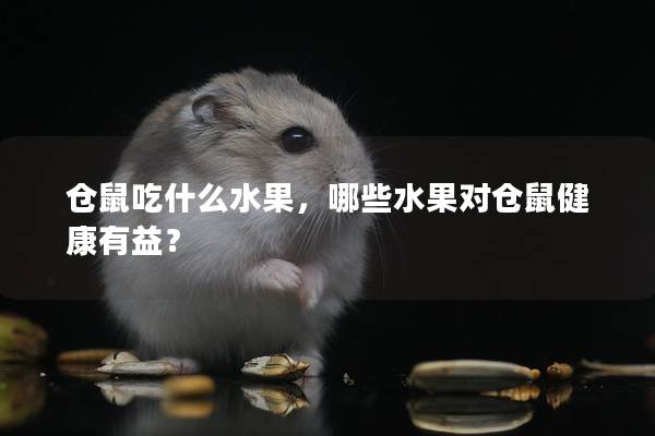仓鼠吃什么水果，哪些水果对仓鼠健康有益？