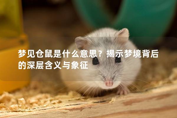 梦见仓鼠是什么意思？揭示梦境背后的深层含义与象征