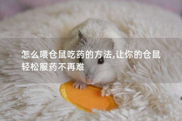 怎么喂仓鼠吃药的方法,让你的仓鼠轻松服药不再难